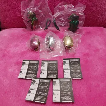 생물대도감 어드밴스 플라티나 풍뎅이와 무지개 사슴벌레 컴플리트 세트