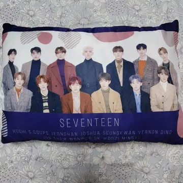 SEVENTEEN 쿠션 멤버 총집합