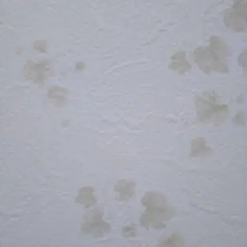 피규어 토마스 채기 호빵맨