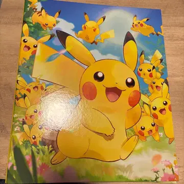 포켓몬 카드 게임 컬렉션 파일 피카츄