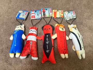 노비시바 노비고양이 5세트 미에 기후 요코하마 도쿄 후쿠오카