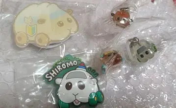 [ 5점 ] 푸이푸이모루카 메지루시 액세서리 러버 아크릴