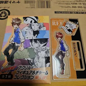 가정교사 히트맨 REBORN! 사와다 츠나요시 츠나 아크릴 피규어 참