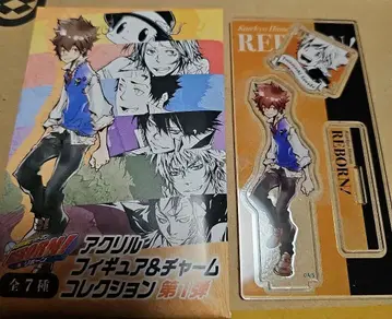 가정교사 히트맨 REBORN! 사와다 츠나요시 츠나 아크릴 피규어 참