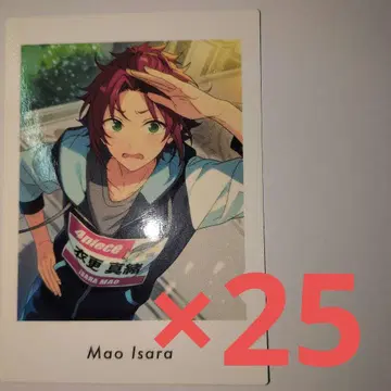 앙스타 파샤츠 이사라 마오