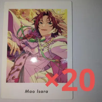 앙스타 파샤츠 이사라 마오