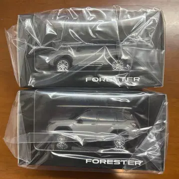 FORESTER 미니카 2대 세트