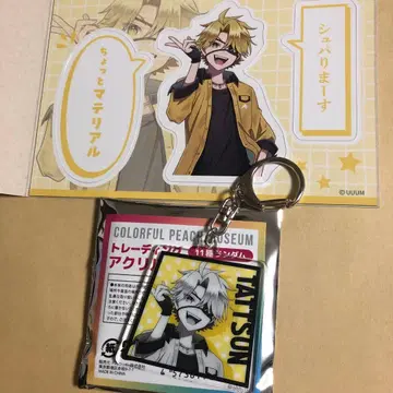 컬러풀 피치 타츠 군 카라피치 뮤지엄 아크릴 키링 마그넷