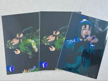 닌뮤 롯카 6학년 단독 라이브 랜덤 브로마이드 타치바나 센조 세트