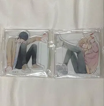 아름다운 그 상자 포장 아크릴 스탠드