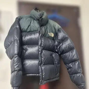 THE NORTH FACE 다운 자켓