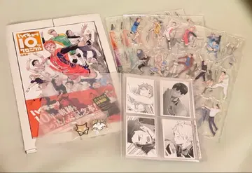 하이큐 10th 크로니클 동고반 완성품 개봉 완료