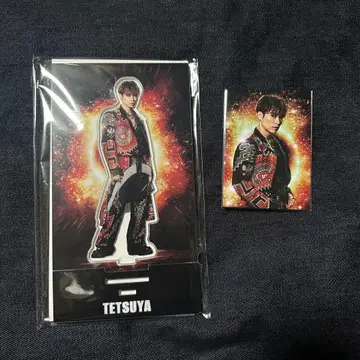 EXILE TETSUYA 아크릴 스탠드 포토 카드