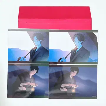 대황 애니메이트 그라테 브로마이드 아오미 토요스