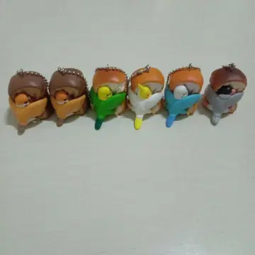 무귯토 새 잉꼬 참새 오카메 핀초