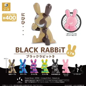[ 미개봉 컴플리트 ] 블랙라빗 BLACK RABBiT 9 가챠