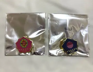 주합영주전 영주백경 [우즈이 텐겐] 컬렉션 핀즈