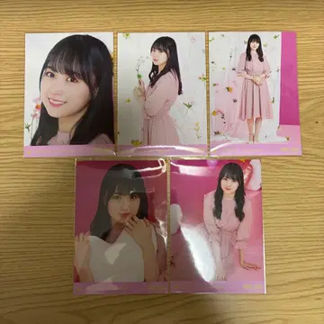 노기자카46 카키 하루카 브로마이드 컴프