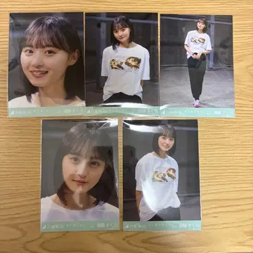 노기자카46 엔도 사쿠라 브로마이드 컴프