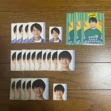 와타나베 타이 가 데타카 프로필 카드 묶음 판매