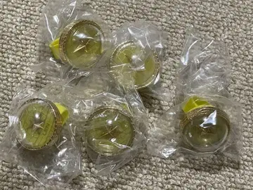 프로세카 세카라이 반지 라이트 렌