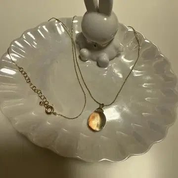 골드 펜던트 목걸이 ear papillonner 이아파피요네