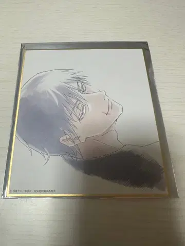 주술회전 미니 색지 회옥 옥절 후시구로 토우지