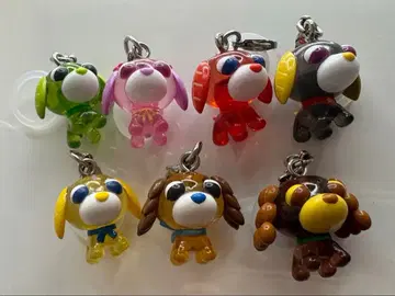 오챠이누 메지루시 액세서리 컴프 세트