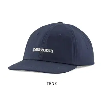 Patagonia 피츠로이 아이콘 트레디셔널 캡 38364 TENE