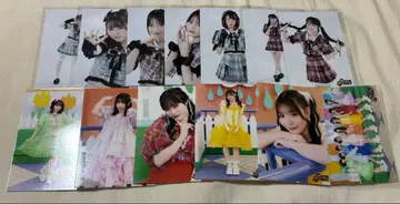 큐스토 브로마이드 묶음 판매