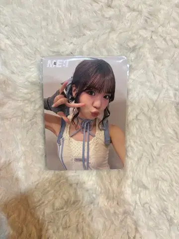 에비하라 북 셀카 트레이딩 카드