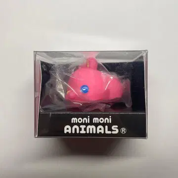 모니마루즈 비비드 컬러 토끼 moni moni ANIMALS