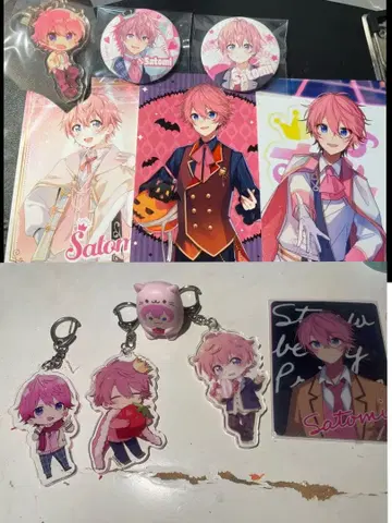 스토푸리 사토미 아크릴 키링 클리어 파일 세트