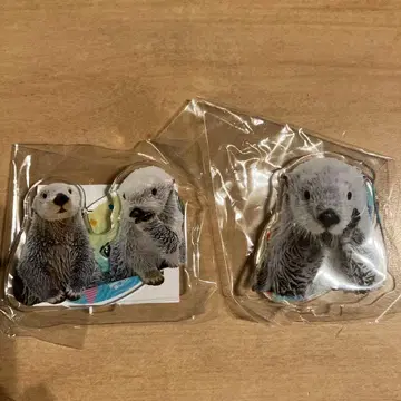 도바 수족관 아크릴 스탠드