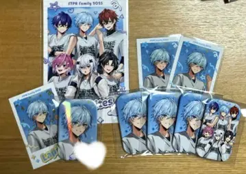 STPR Family 메테오라 라피스 캔뱃지, 폴라로이드 레어