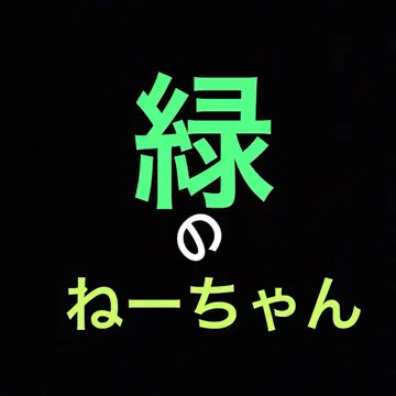 그린 누나 포틴 14 굿바이 싱글 CD