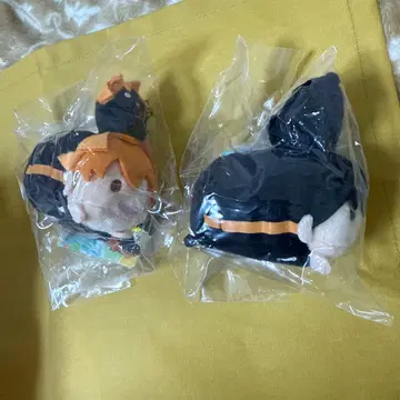 하이큐!! 하이큐 팬파크 노루캬라 마스코트 히나타 카게야마 세트