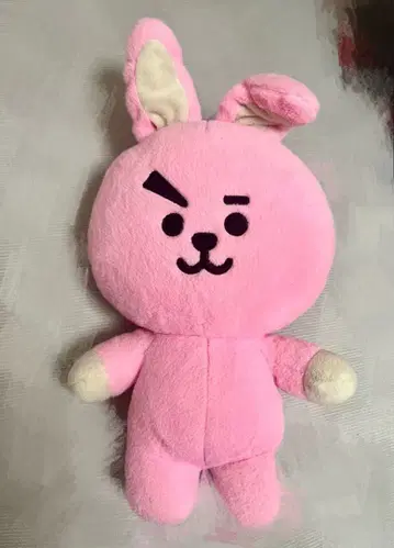 BT21 COOKY 봉제 인형 정국