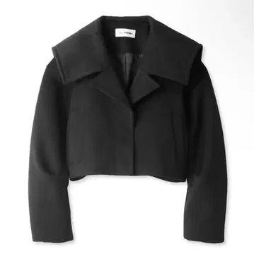 릴리 브라운 숏코트