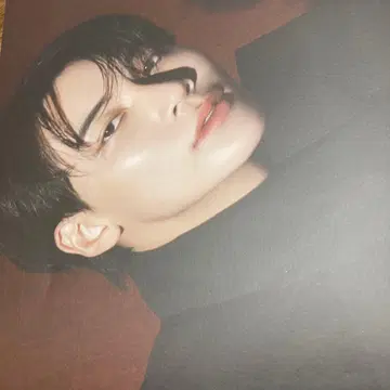 SEVENTEEN 정한 포스터 2장