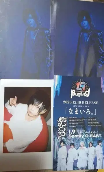 BugLug 트레이딩 카드 폴라로이드 유우