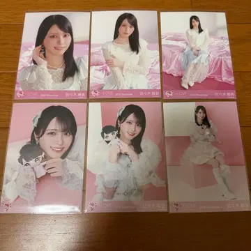 사사키 마이카 컴프 묶음 판매