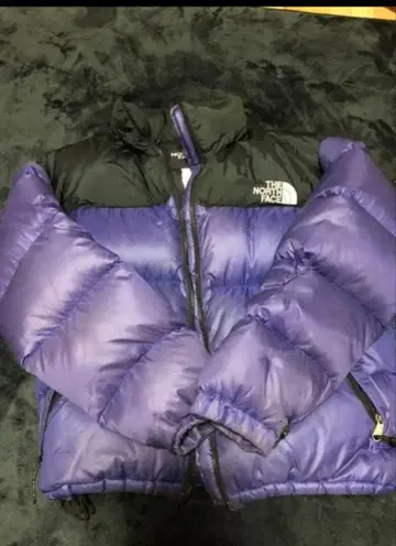 THE NORTH FACE 눕시 보라색