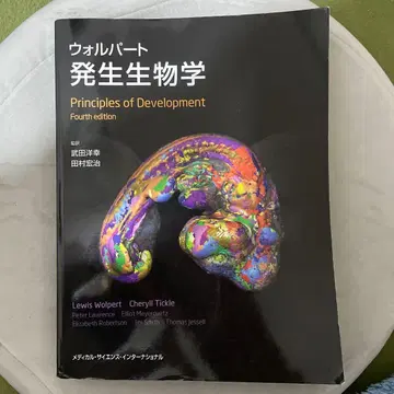 월퍼트 발생생물학