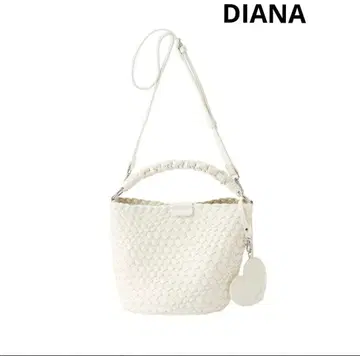 [ DIANA ] 메쉬 백 / 시로/고우히 스무스메쉬