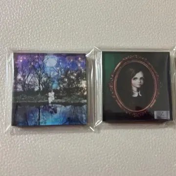 Acid Black Cherry 아크릴 마그넷  L