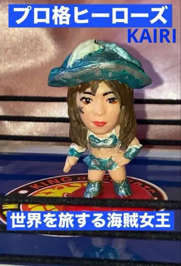 프로 격투 히어로즈 세계를 여행하는 해적 여왕