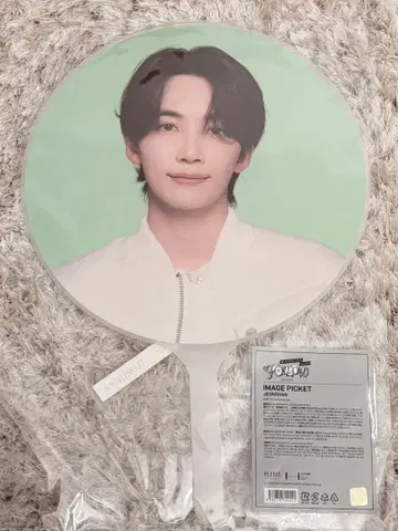 SEVENTEEN FOLLOW AGAIN 공식 부채 정한