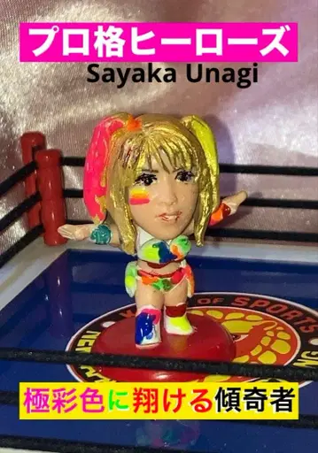 프로 격투 히어로즈 극채색에 날아오르는 카부키모노