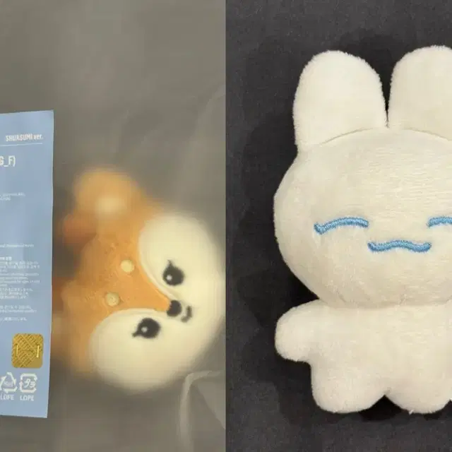 세븐틴 조슈아 인형(미니틴 샤슴이, 모닝슈) 일괄 양도